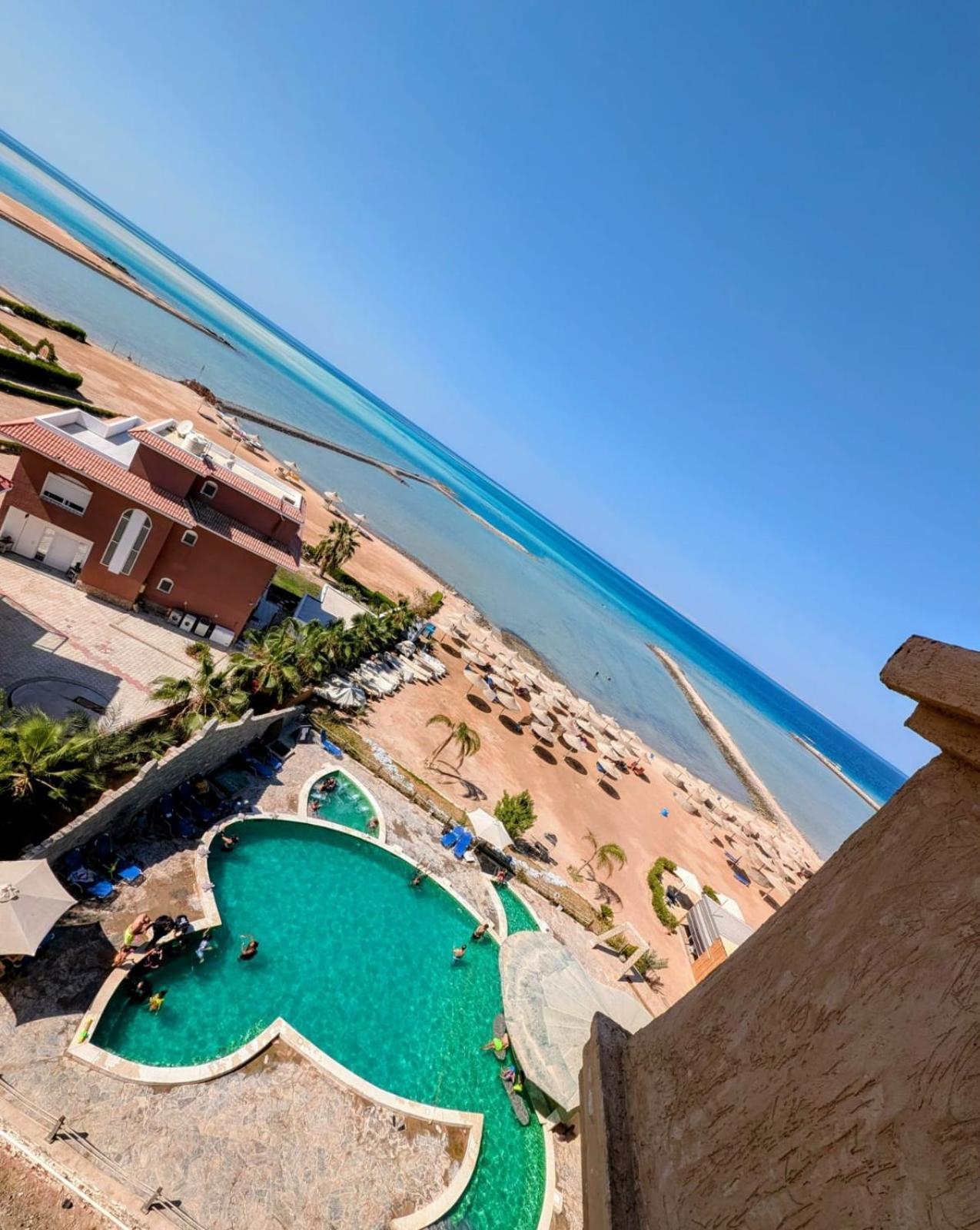 Nistkaestchen In * Hurghada